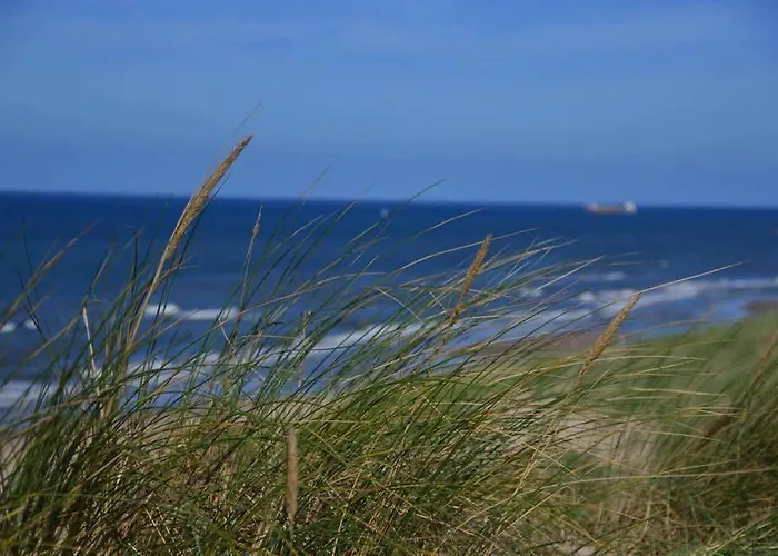 De Blaauboer, Vakantiehuisje