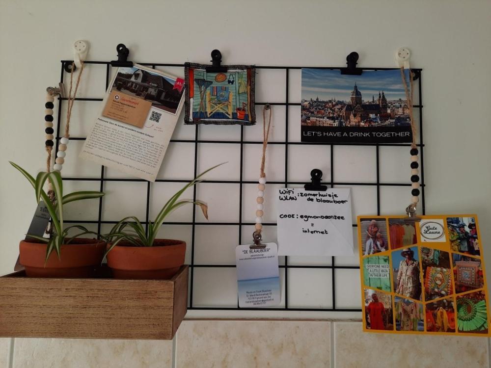 Homestay De Blaauboer Egmond aan Zee