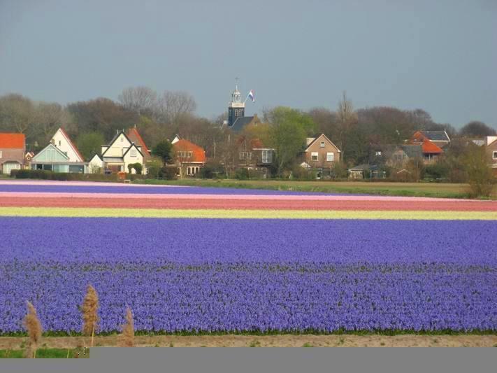 De Blaauboer Egmond aan Zee