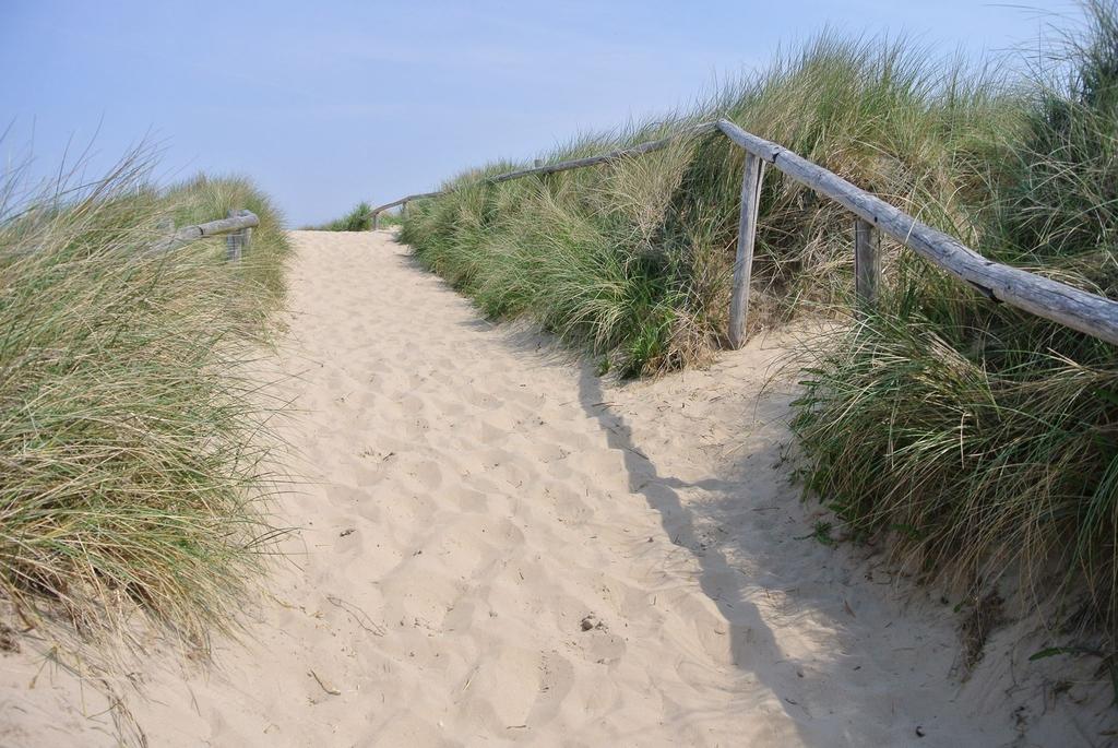 De Blaauboer Egmond aan Zee